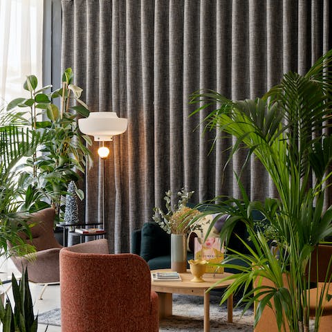 Settle in among the Areca palms with a good book in the communal lounge