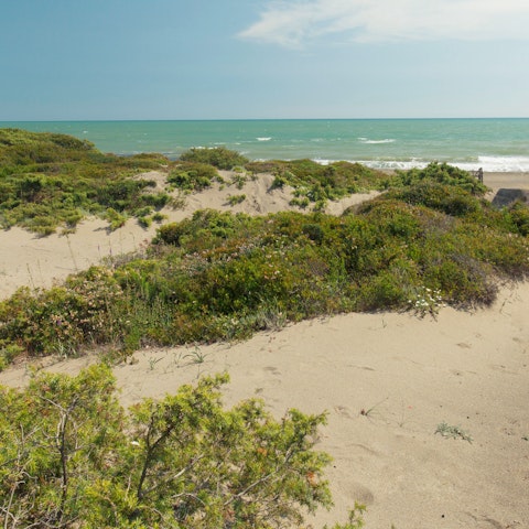 Nip down to Capalbio Beach, a 700-metre buggy ride away