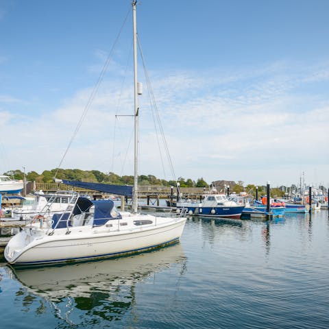 Make the most of your time in Lymington: explore both the coast and the New Forest