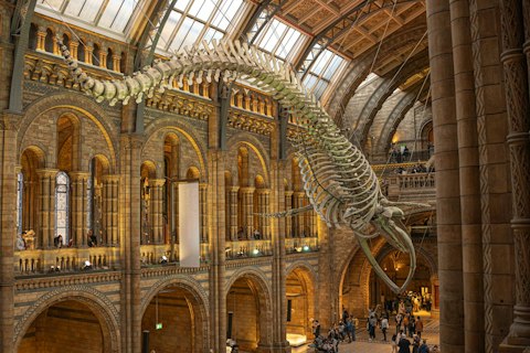 Marvel at the Natural History Museum, minutes away in South Kensington