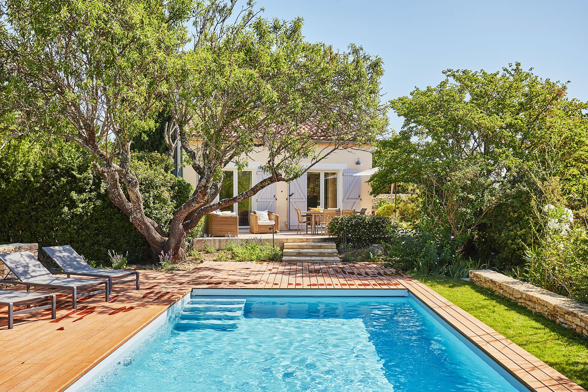 Bougainvillea & Jasmine