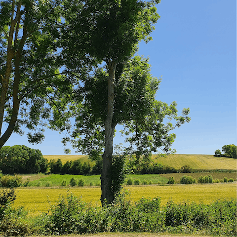 Set off on a summertime hike through the gently undulating hills