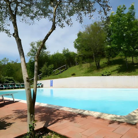 Relax by the shared pool surrounded by lawns and trees