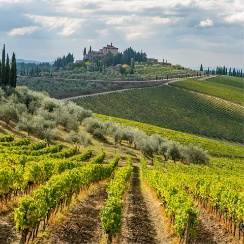 Explore beautiful Radda 22 kilometres away