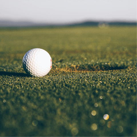 Head to one of the many golf courses in the area and challenge your loved ones to a round or two