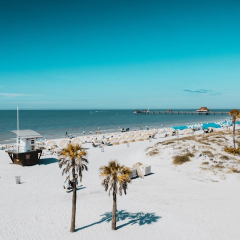 Take a day trip to popular Tampa for beaches and dining