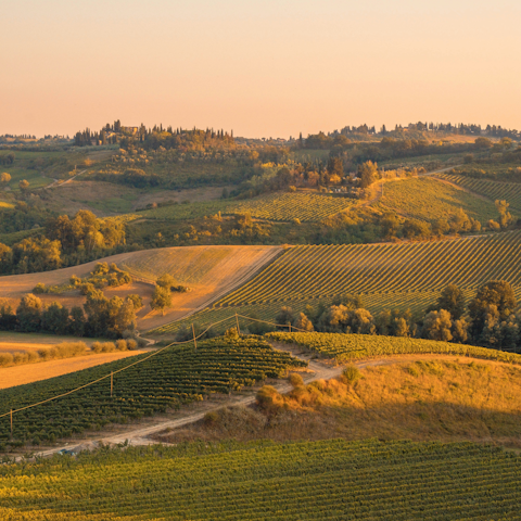 Fall for the landscape and lifestyle of Tuscany