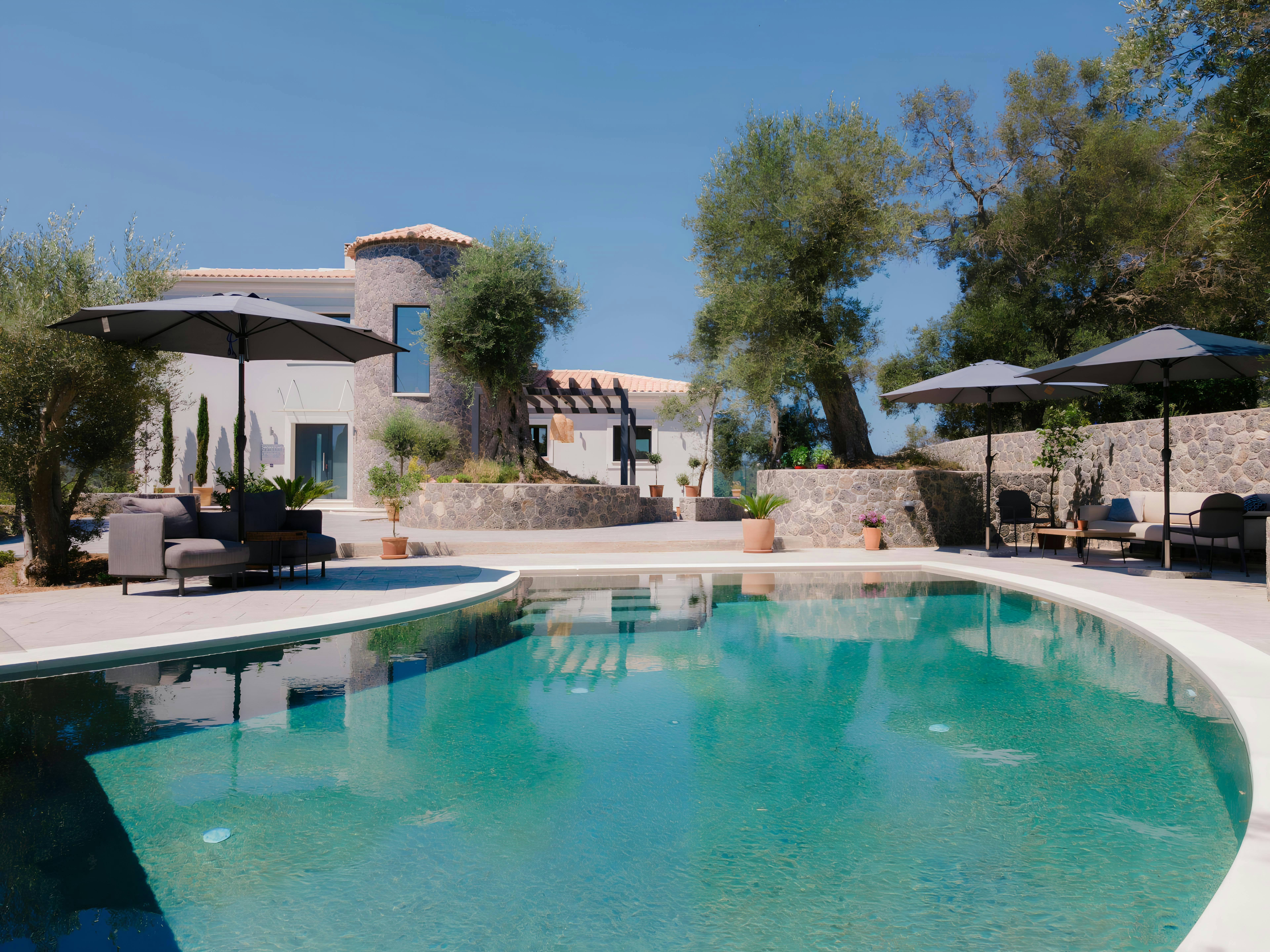 Ancient Olives & Mountains