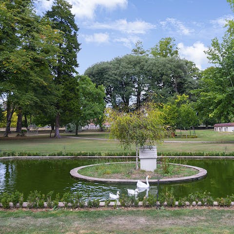 Catch a glimpse of the swans as they paddle on the pond
