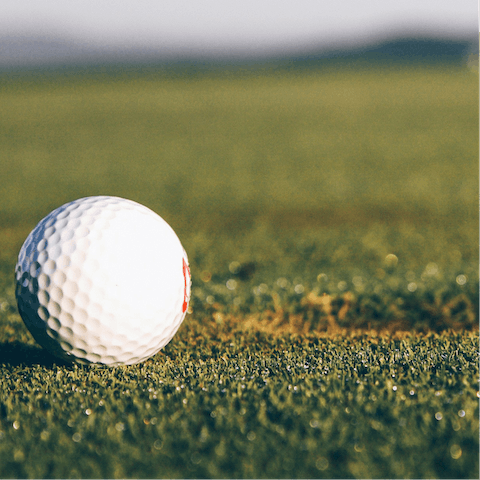 Enjoy friendly competition with rounds of golf on the resort course
