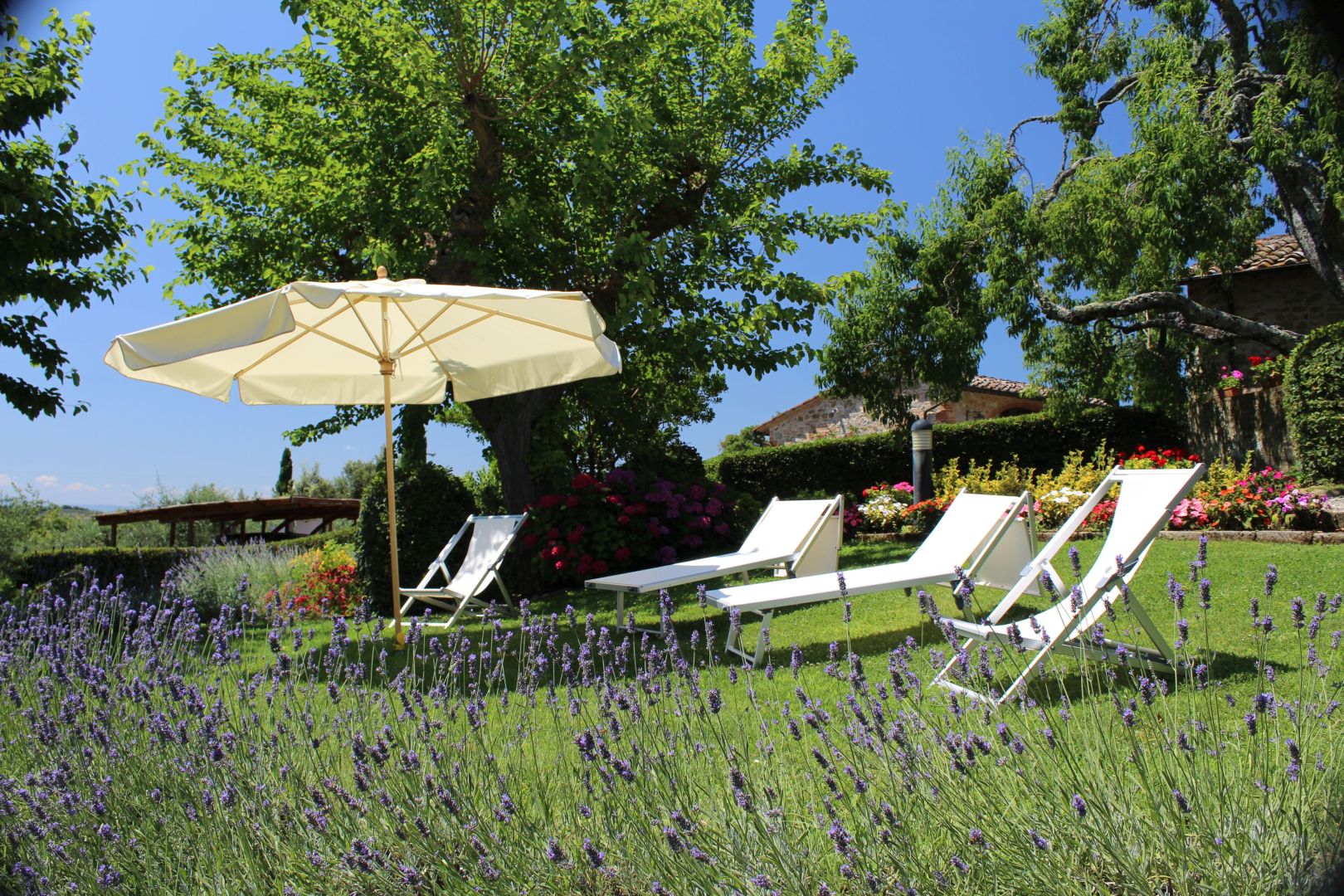 Charming Crimson Haven