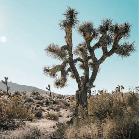 Explore the beautiful surroundings, with two acres of private land