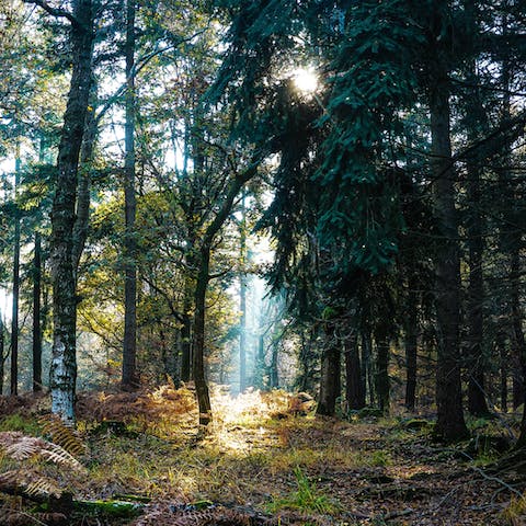 Hiking awaits on the Panhe Nature Trail, under a mile from your home