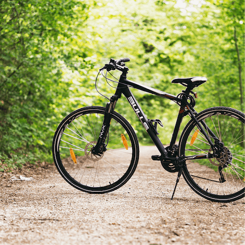 Grab a bike and explore Berlin's beautiful public parks