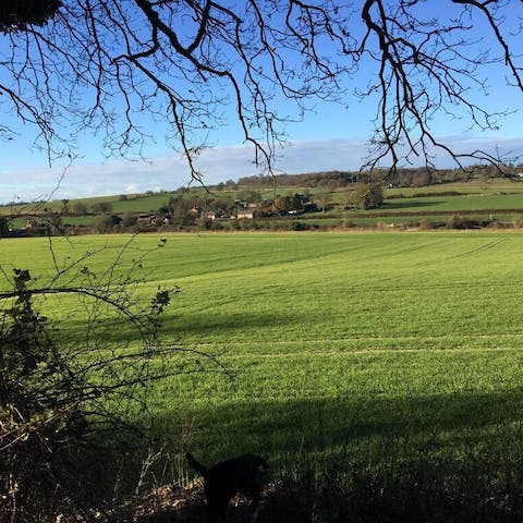 Ramble through the idyllic countryside and let dogs run wild