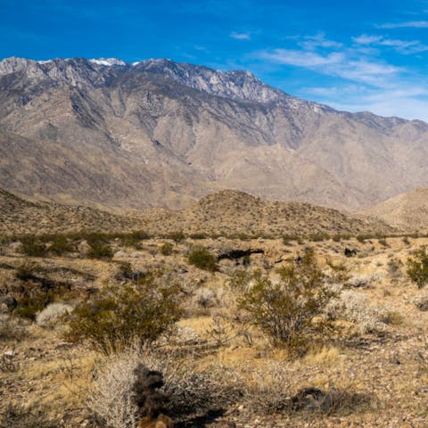 Hike nearby trails like Tahquitz Canyon or North Lykken