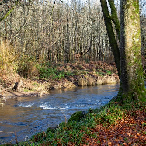 Take advantage of the wonderful position in Dartmoor National Park and roam the myriad of trails