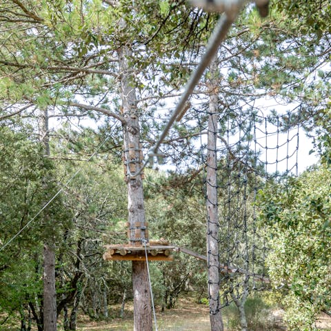 Explore the tree-top adventure course in the garden