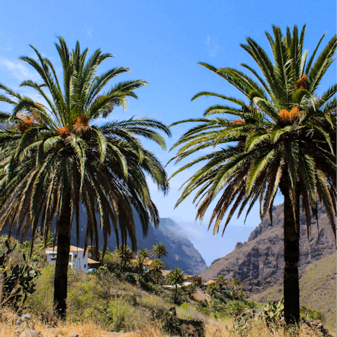 Hike Tenerife's trails and take in some stunning scenery