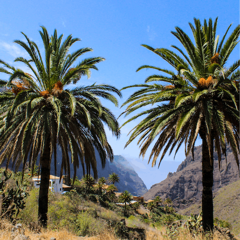 Hike Tenerife's trails and take in some stunning scenery