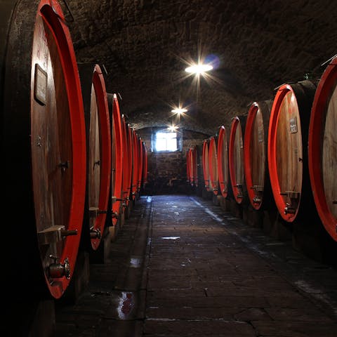 Enjoy a guided wine tasting