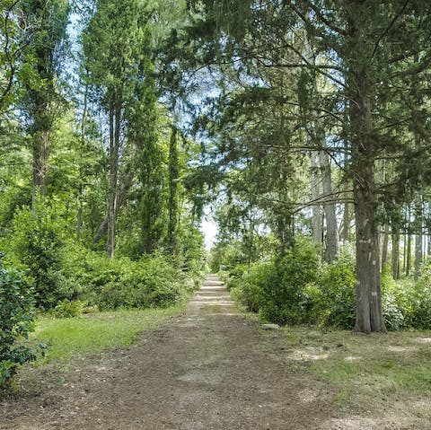 Explore two hectares of private, historic parkland