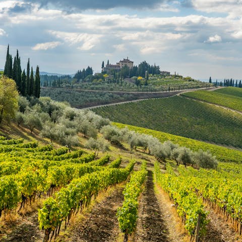 Try local delicacies in the foodie town of Radda, ten-minute drive away