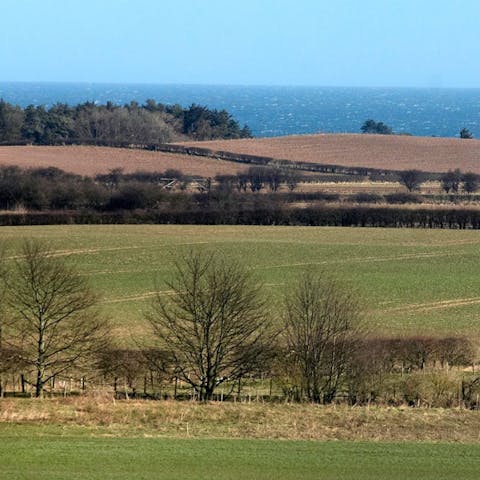 Head out for a coastal walk along Dunstan Steads, a ten-minute drive