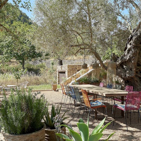 Relax in the garden surrounded by palms and olive trees
