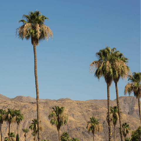 Experience the old and new of Palm Springs