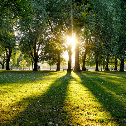 Hop over to Hyde Park for a leisurely stroll or morning jog