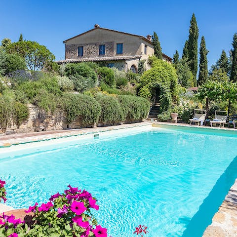 Jump into the refreshing pool