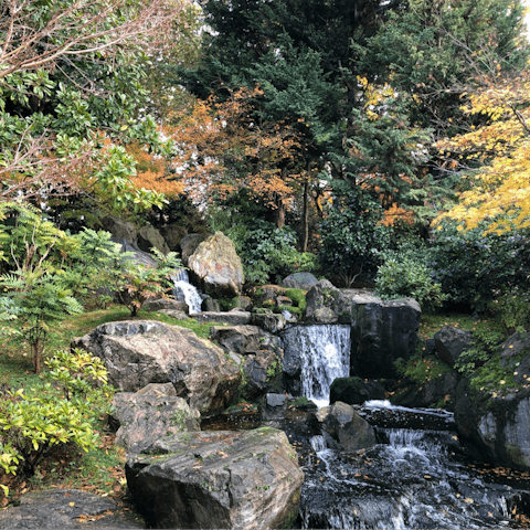 Stroll through Holland Park, twenty minutes away by bus