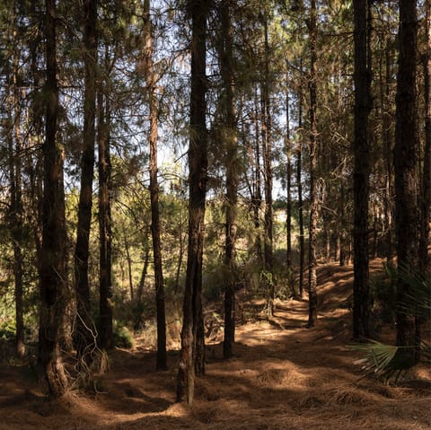 Escape to Prado del Rey, minutes away, for a hike