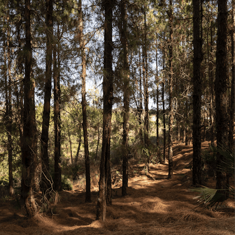 Escape to Prado del Rey, minutes away, for a hike