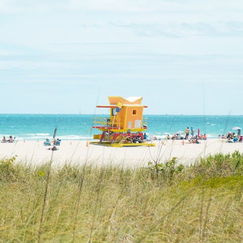 Drive over to Miami Beach in five minutes and dive into the invitingly blue ocean