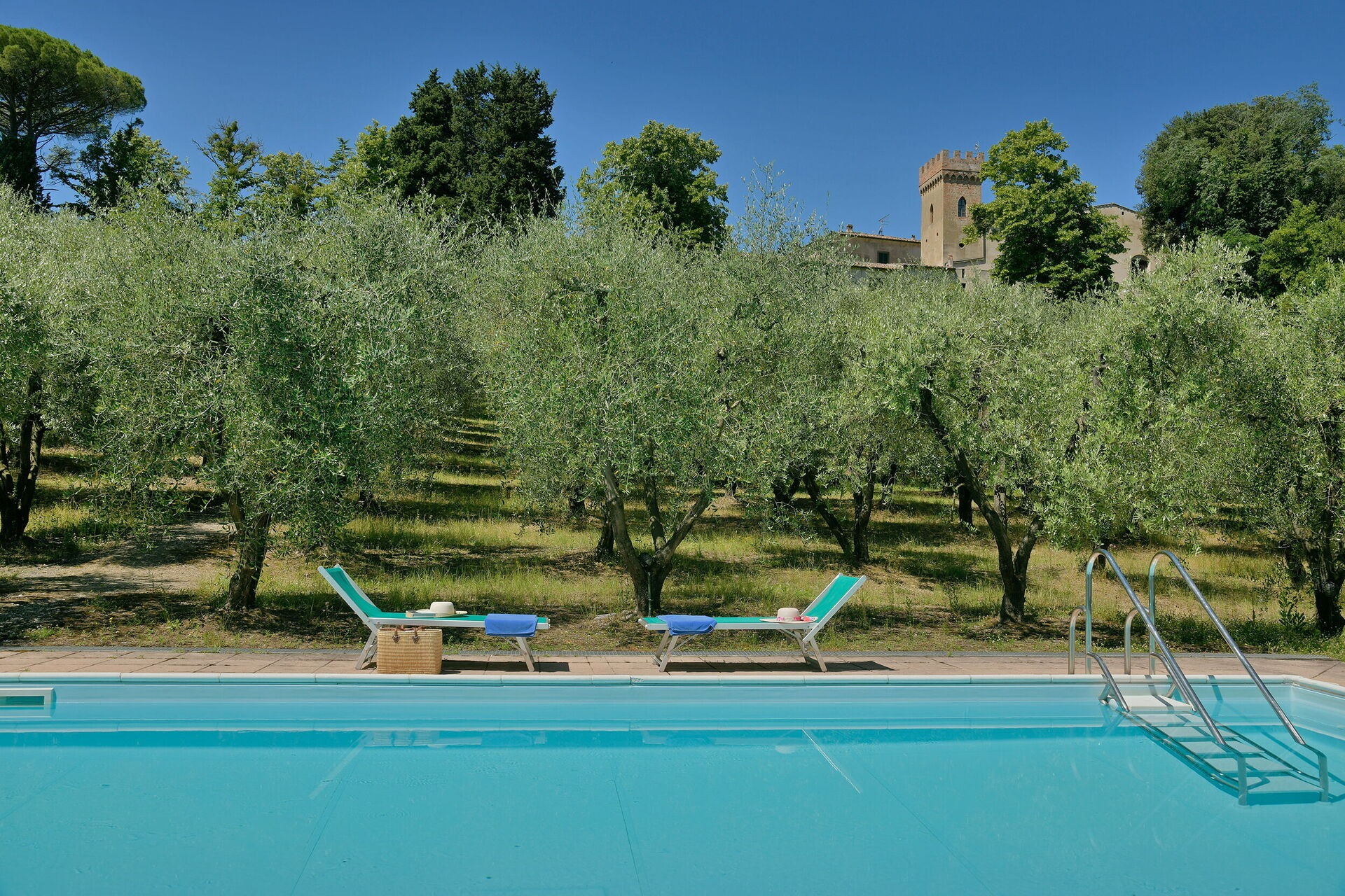 Olive Outlook