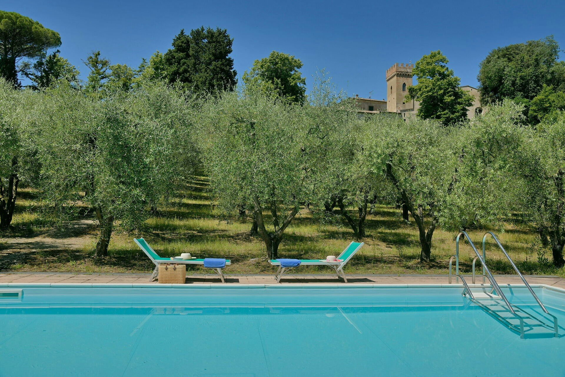 Olive Outlook