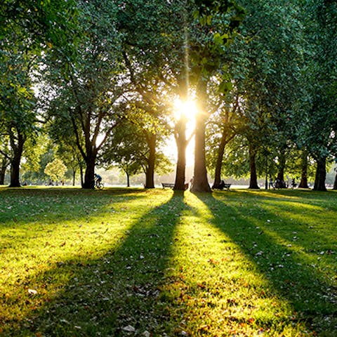 Soak up the beauty of Hyde Park, a ten-minute walk away