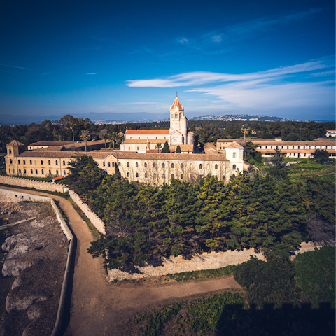 Take a ferry to the Lérins Islands – the marina is a short walk away