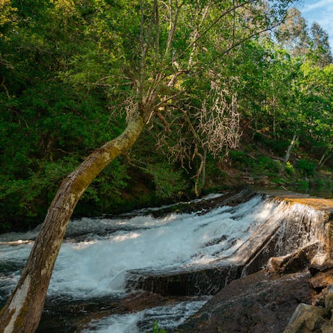 Kayak on the small river dam of Rio Sul – you'll have exclusive access