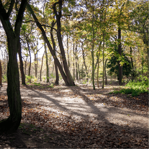 Explore the green spaces of Bois de Bologne – just a stone's throw away