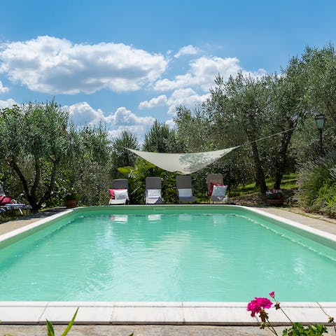 Cool of from the Mediterranean sunshine in the huge swimming pool