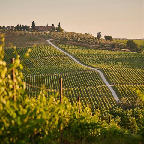 Fall in love with the stunning Chianti countryside