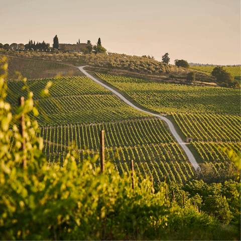 Fall in love with the stunning Chianti countryside