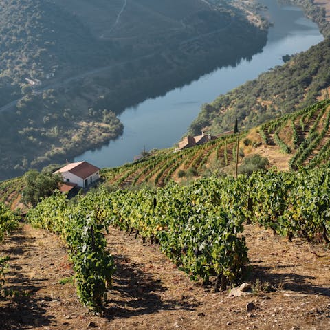 Take a cruise along the River Douro for spectacular views