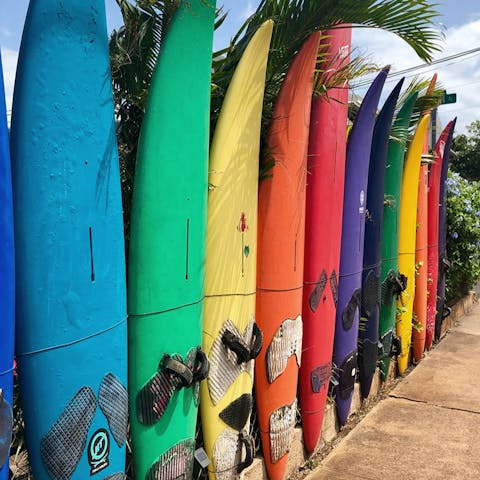 Head down to the beach and learn how to surf