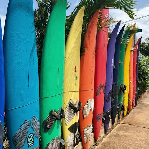 Head down to the beach and learn how to surf