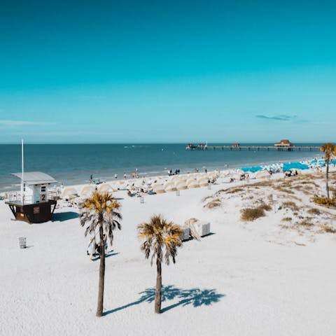 Take a short drive down to Tampa Bay for the afternoon