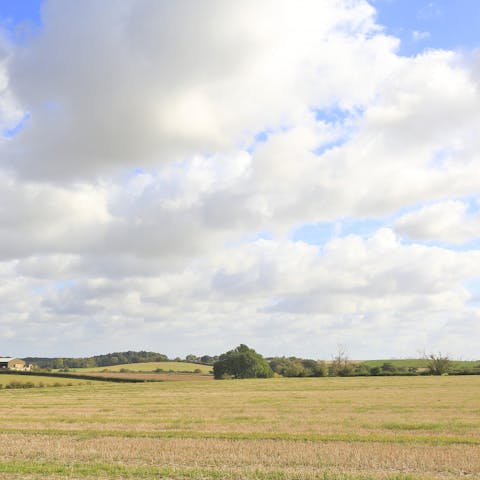 Savour the peace and quiet of the countryside location